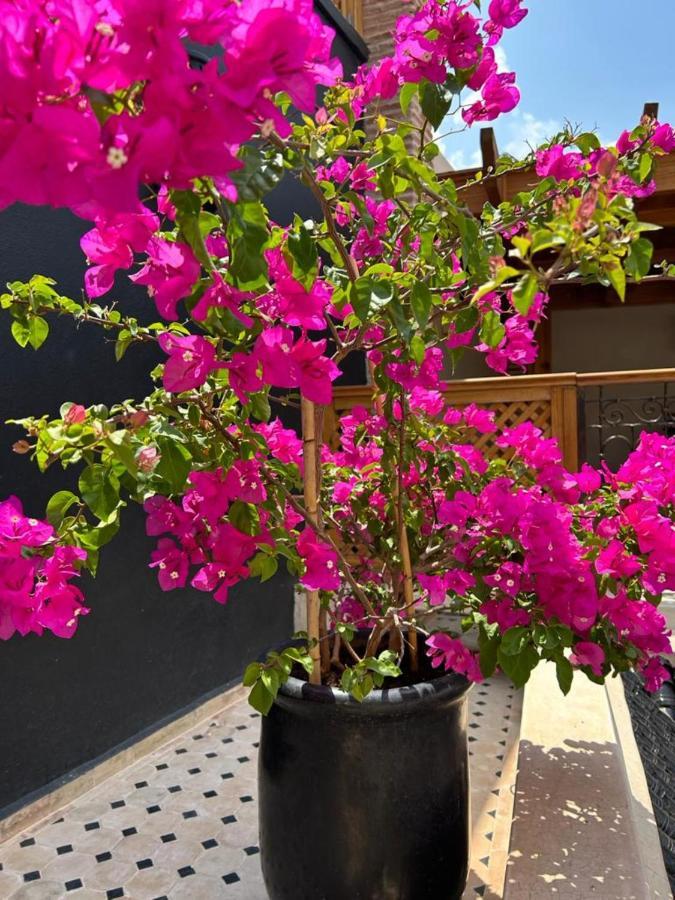 Riad Al Nubala 마라케시 외부 사진